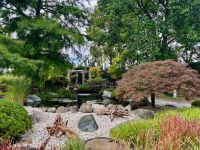Mädelstour in Bayerisch-Schwaben zwischen Augsburg und Nördlingen