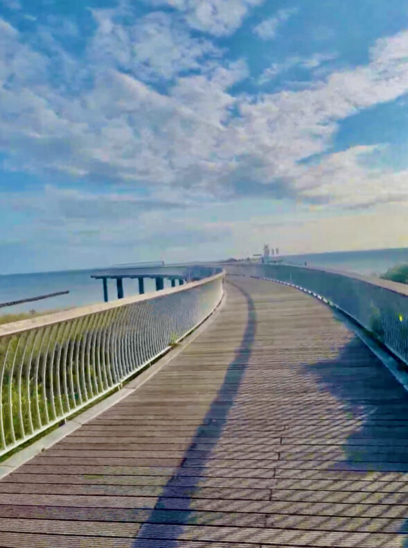 Usedom mit Hund - ein besonderer Mädelsurlaub