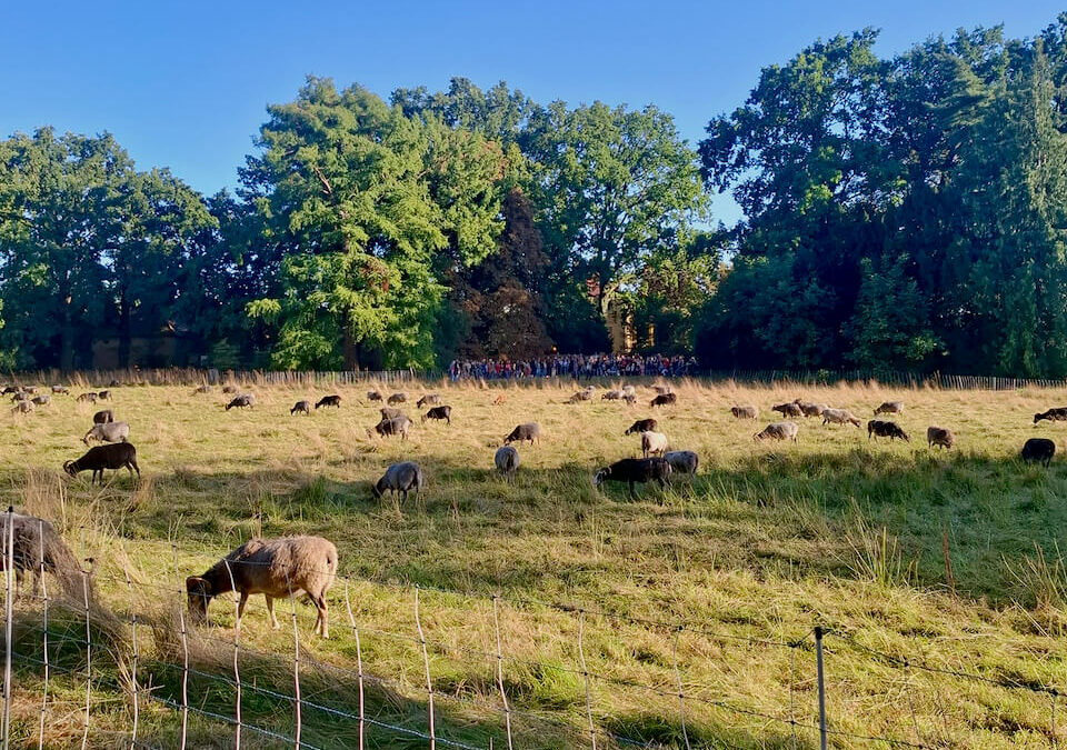 Ein glanzvoller Abend im Park Sansoucci - Schlössernacht Potsdam