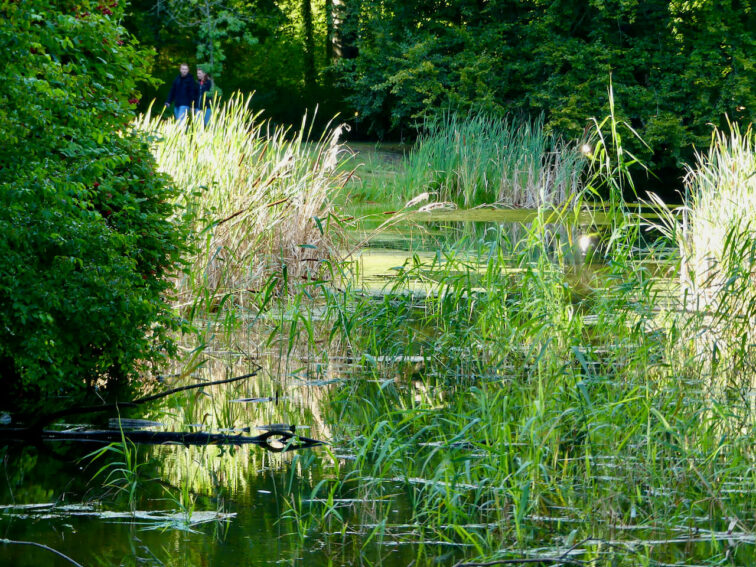 Ein glanzvoller Abend im Park Sansoucci - Schlössernacht Potsdam