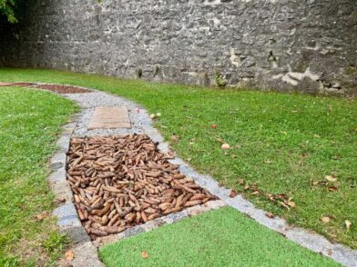 Mädelstour in Bayerisch-Schwaben zwischen Augsburg und Nördlingen