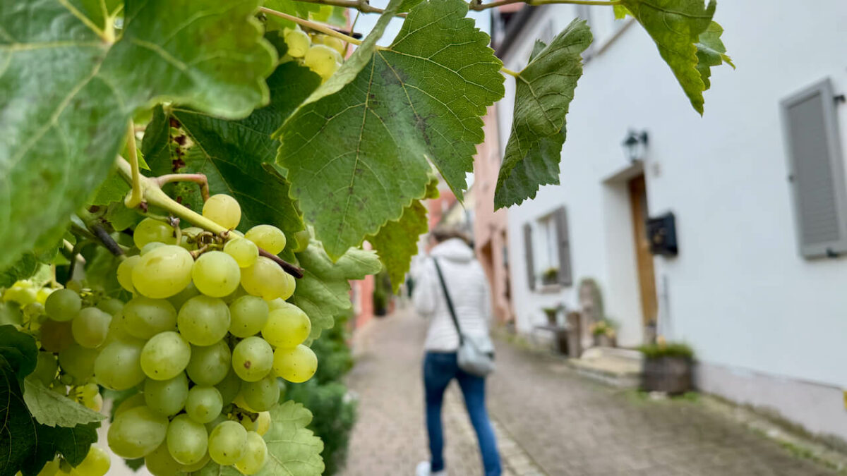 Mädelstour in Bayerisch-Schwaben zwischen Augsburg und Nördlingen