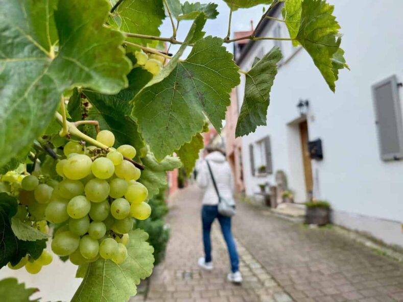 Mädelstour in Bayerisch-Schwaben zwischen Augsburg und Nördlingen