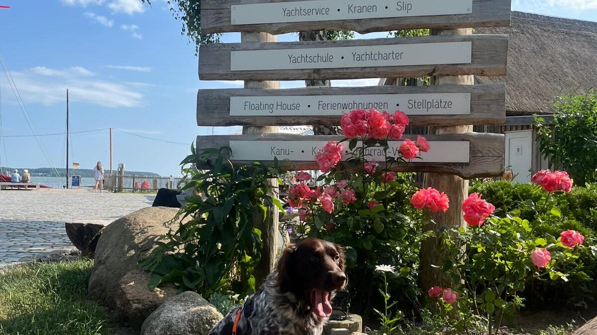 Usedom mit Hund - ein besonderer Mädelsurlaub