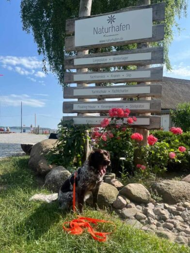 Usedom mit Hund - ein besonderer Mädelsurlaub