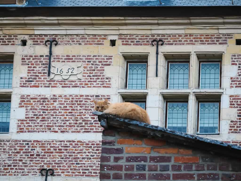 Tongeren – Auf Zeitreise in der ältesten Stadt Belgiens