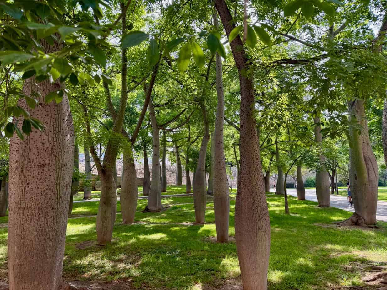 24 Stunden in Valencia