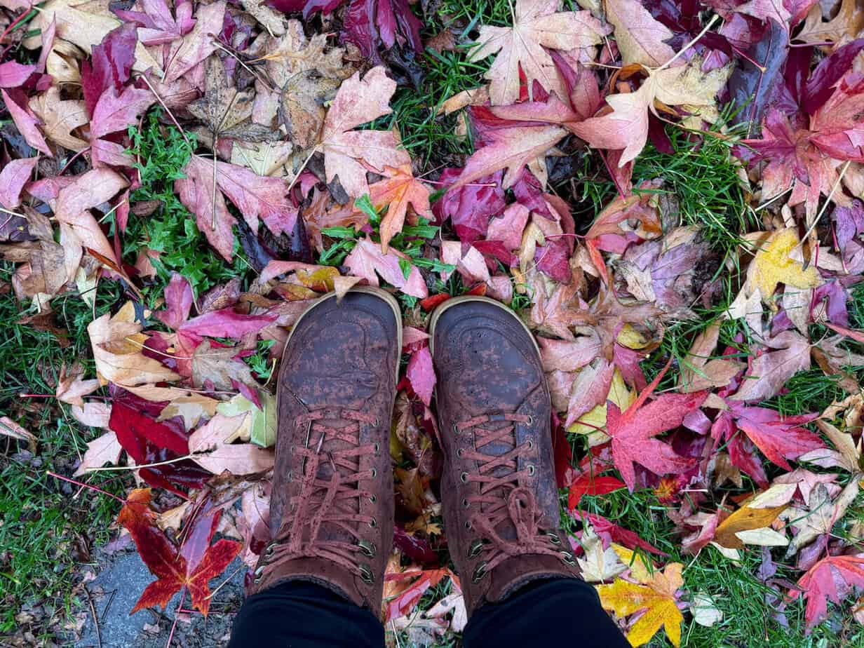 Ein Wintertag in Dokkum