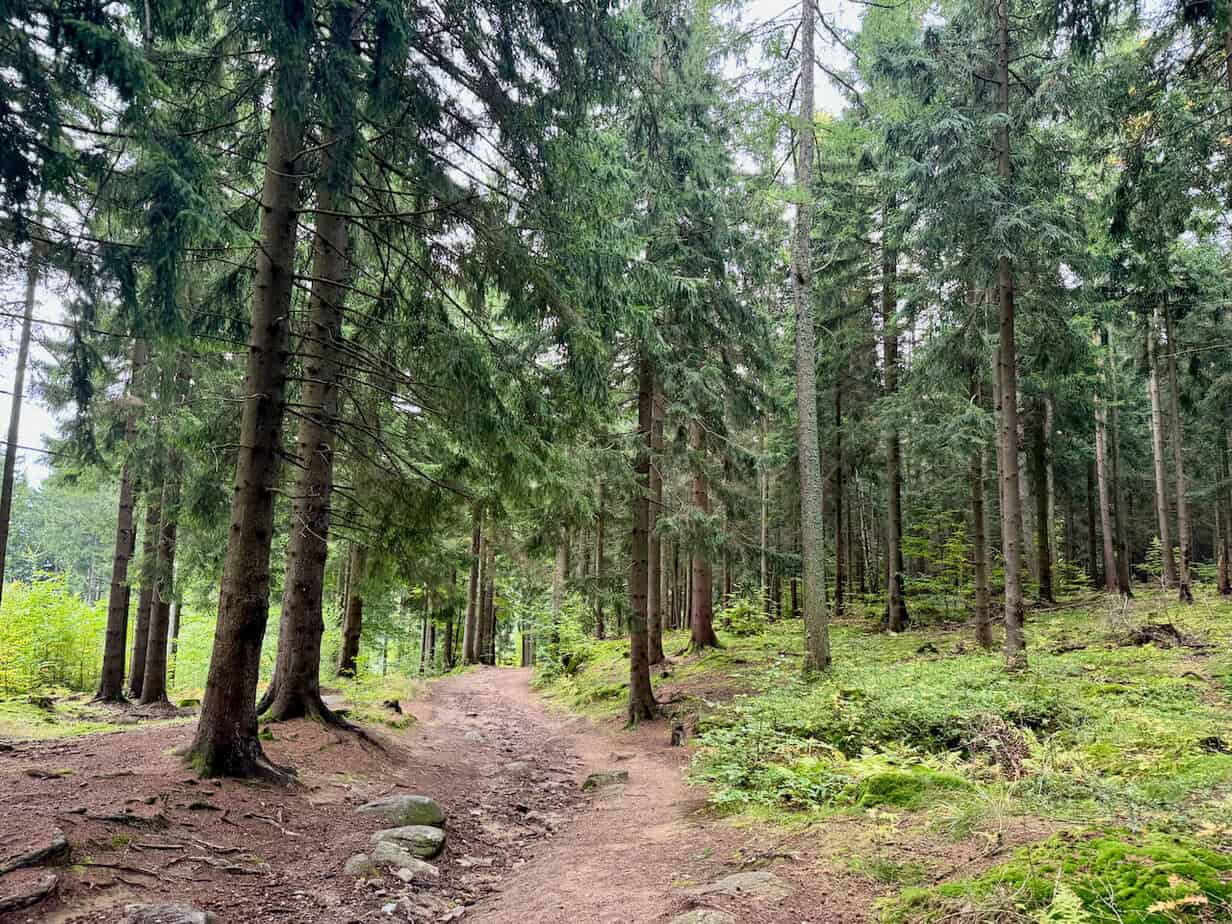Eine entspannte Herbstreise ins polnische Riesengebirge Eine entspannte Herbstreise ins polnische Riesengebirge
