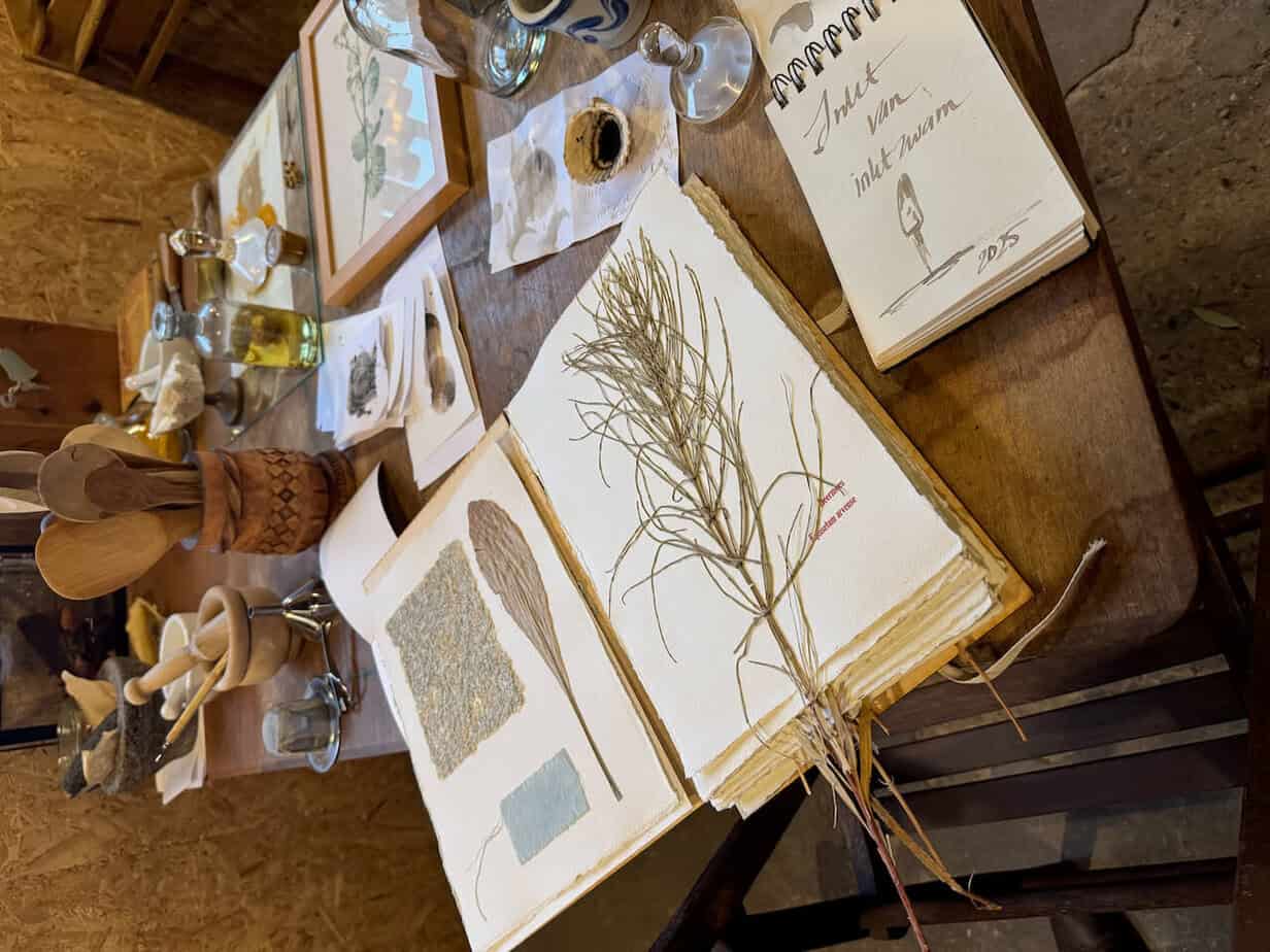 Winter in Friesland: An der niederländischen Wattenküste Winter in Friesland: An der niederländischen Wattenküste