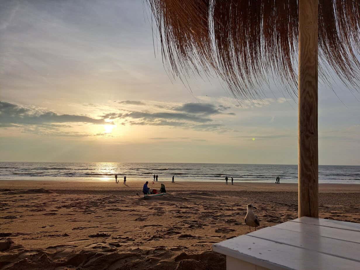 Alles Käse, oder was? - Ein kulinarisches Wochenende in Noord Holland Alles Käse, oder was? - Ein kulinarisches Wochenende in Noord Holland