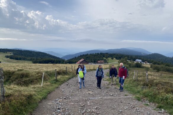 Ein Wochenende in den Vogesen