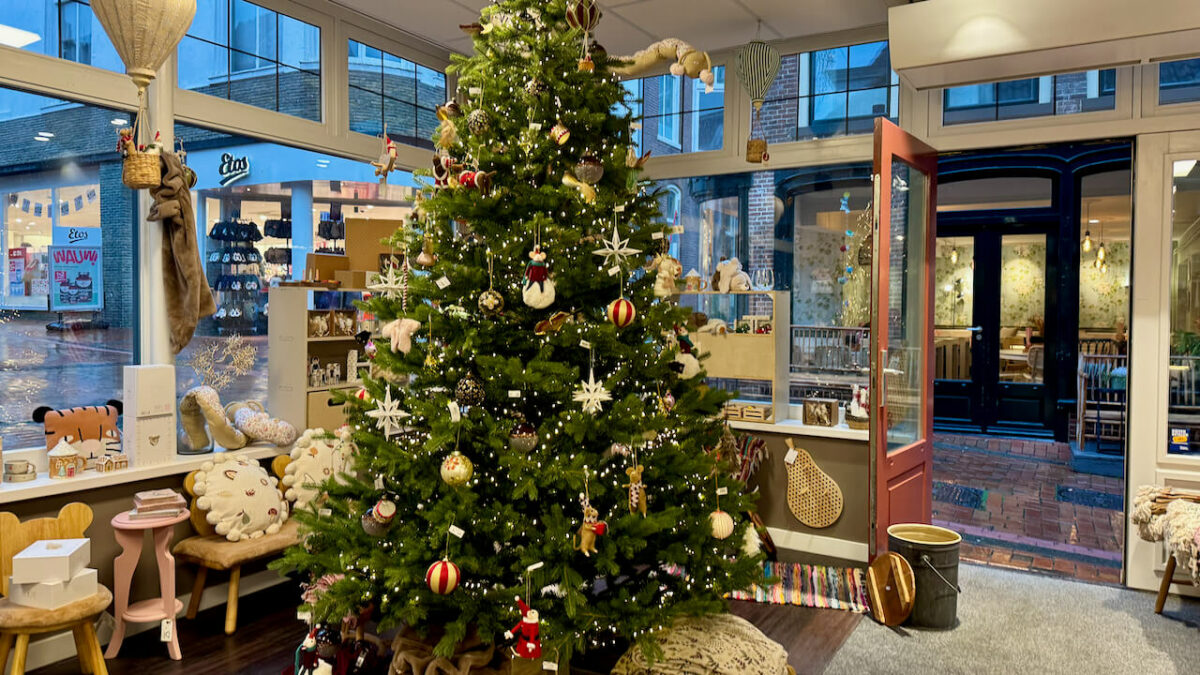 Ein Wintertag in Dokkum