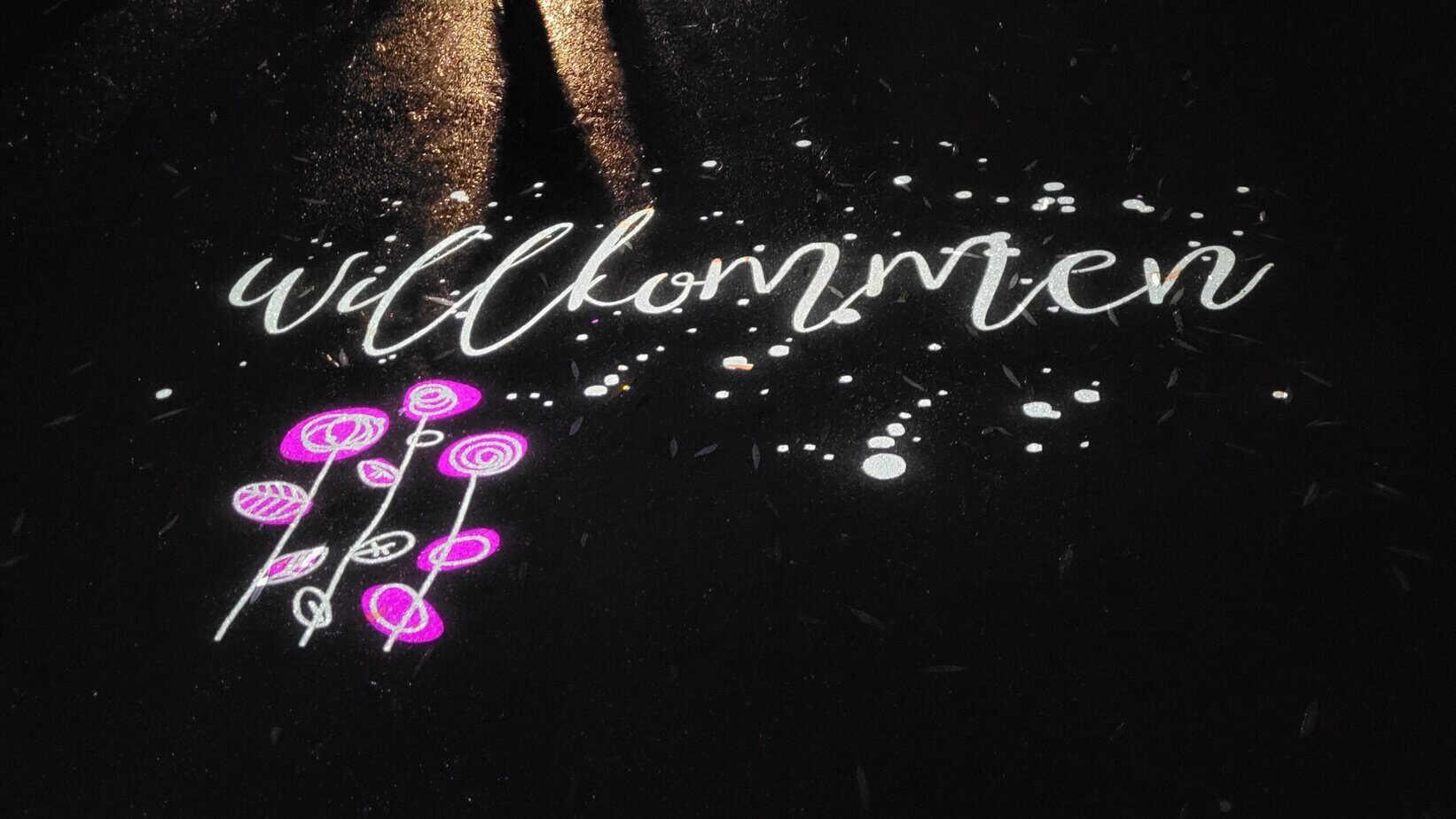 Winterzauber auf der Insel Mainau: Mein Besuch im Christmas Garden Winterzauber auf der Insel Mainau: Mein Besuch im Christmas Garden