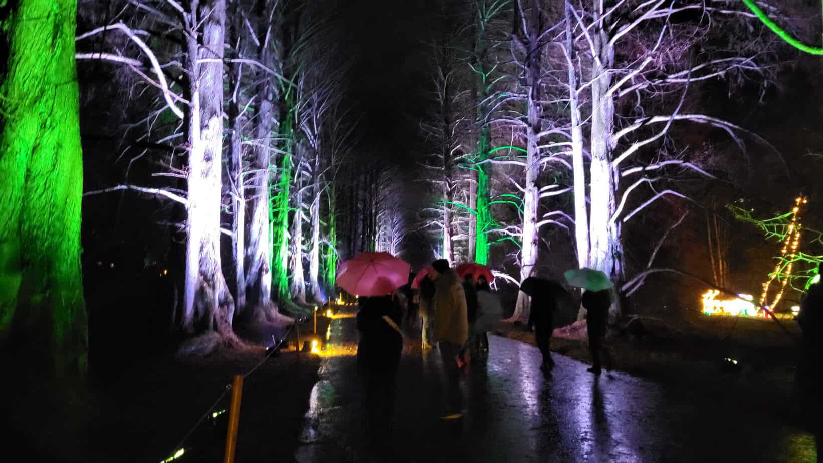 Winterzauber auf der Insel Mainau: Mein Besuch im Christmas Garden Winterzauber auf der Insel Mainau: Mein Besuch im Christmas Garden