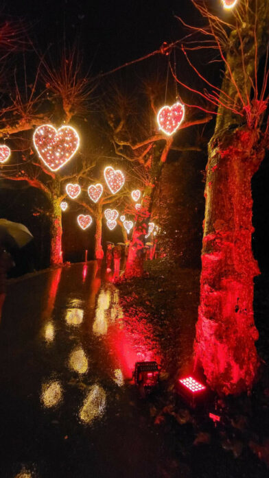 20251207_175630 Winterzauber auf der Insel Mainau: Mein Besuch im Christmas Garden