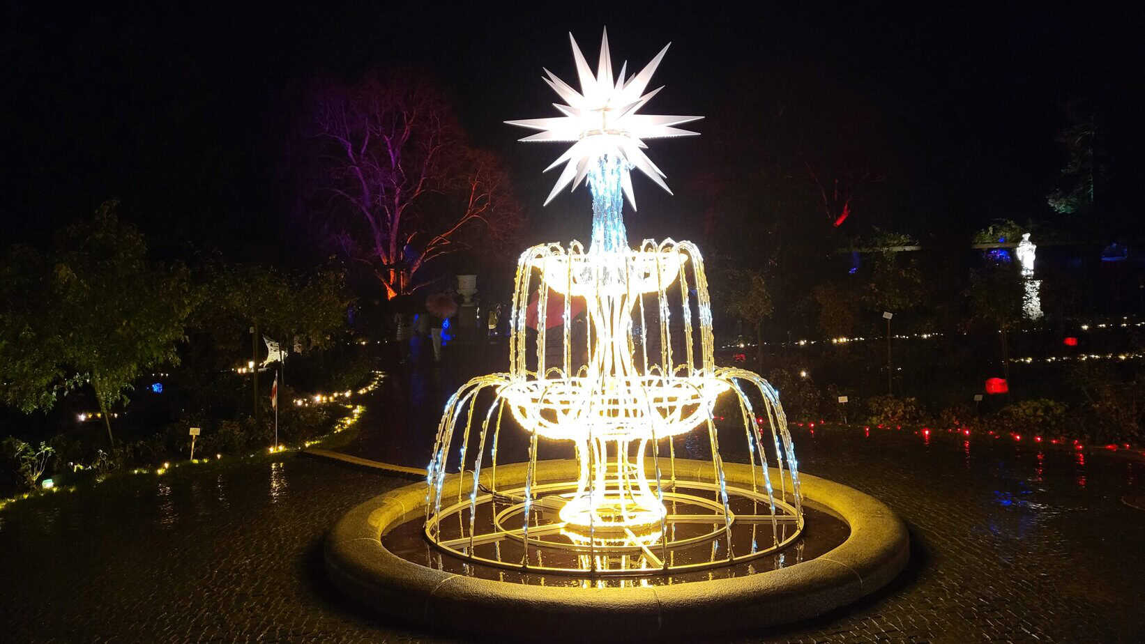 Winterzauber auf der Insel Mainau: Mein Besuch im Christmas Garden Winterzauber auf der Insel Mainau: Mein Besuch im Christmas Garden