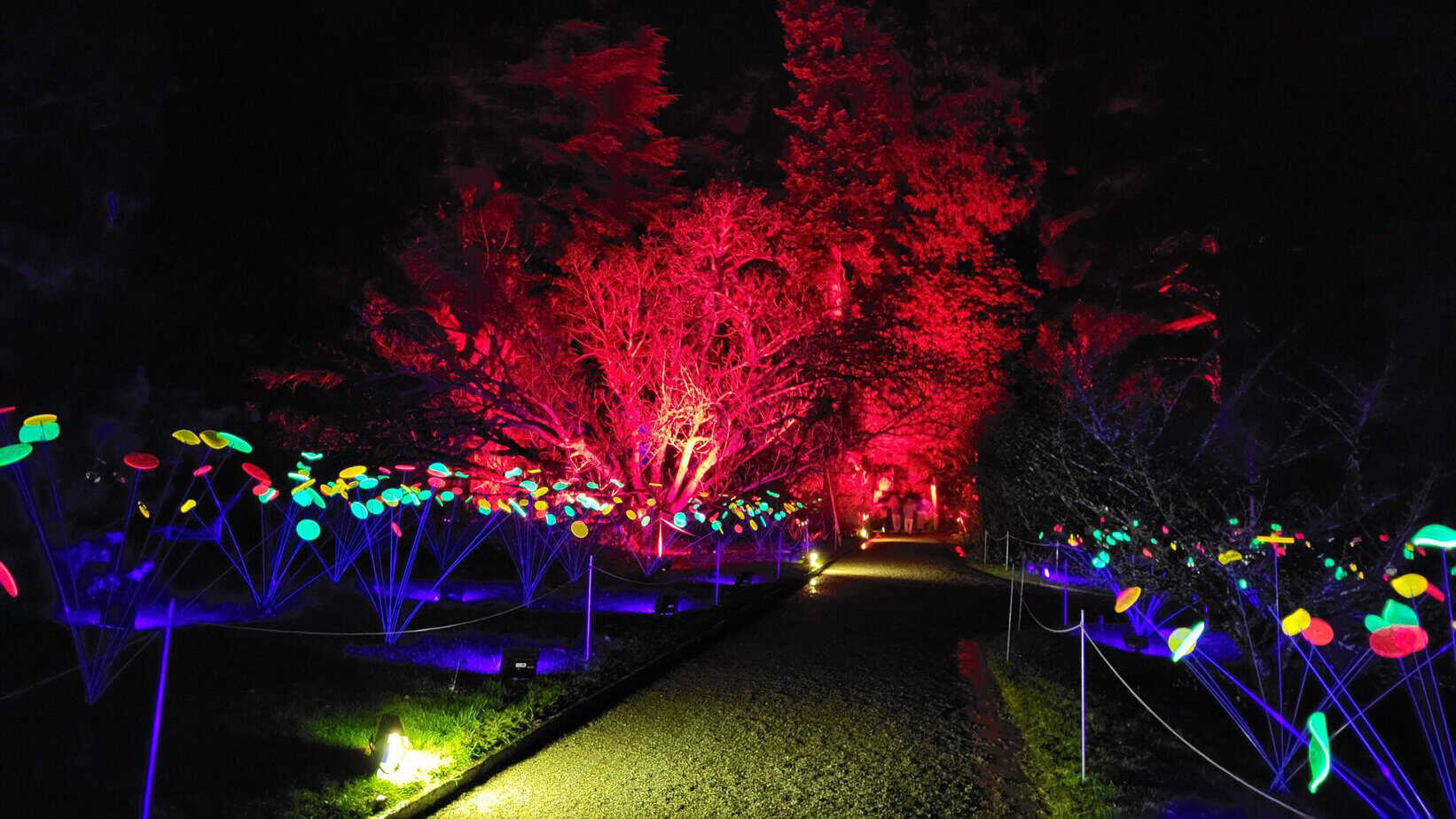 Winterzauber auf der Insel Mainau: Mein Besuch im Christmas Garden Winterzauber auf der Insel Mainau: Mein Besuch im Christmas Garden