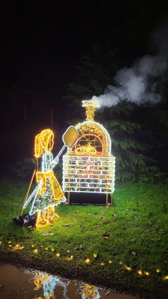 20251207_191542 Winterzauber auf der Insel Mainau: Mein Besuch im Christmas Garden