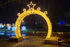 Winterzauber auf der Insel Mainau: Mein Besuch im Christmas Garden