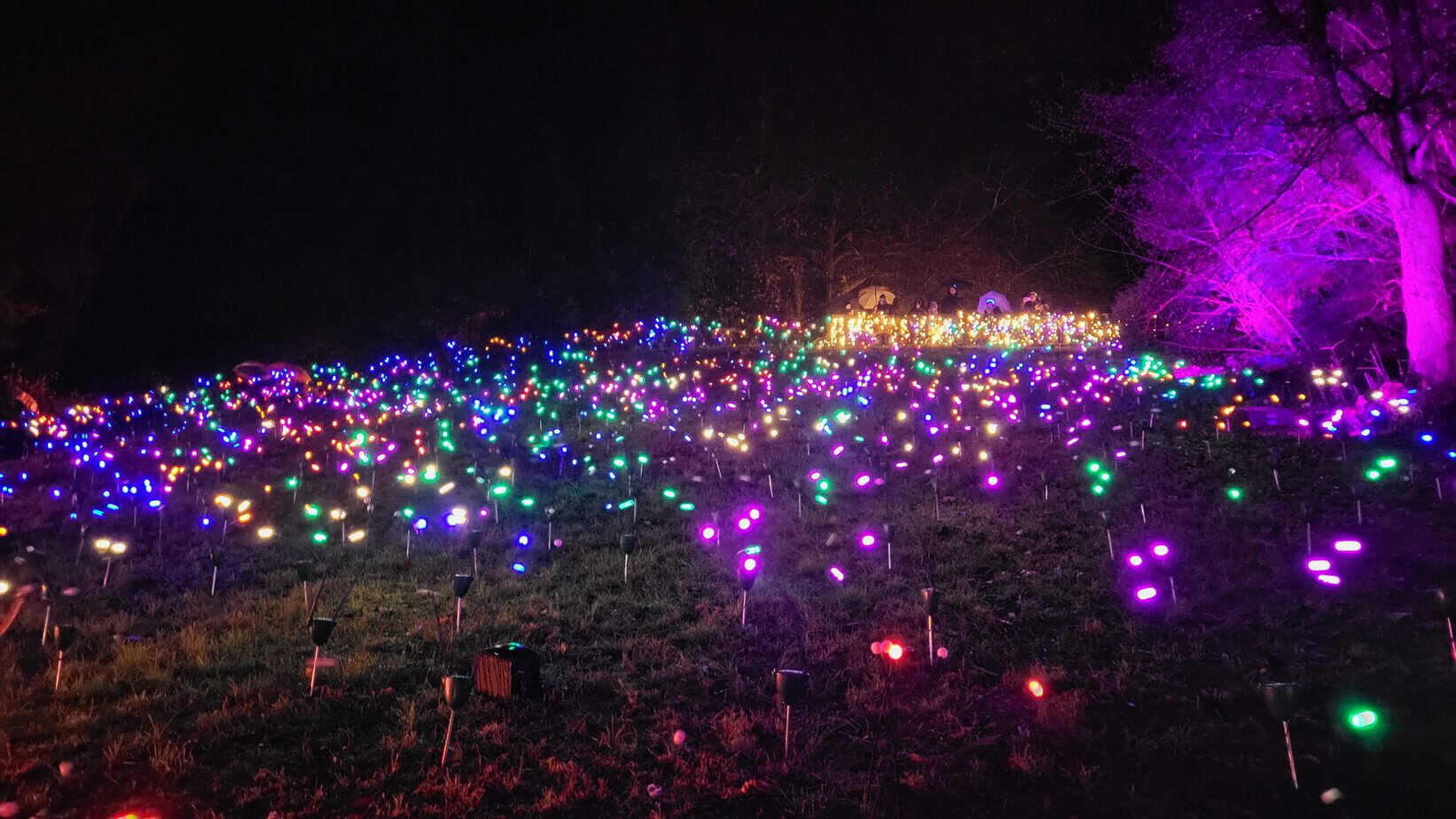 Winterzauber auf der Insel Mainau: Mein Besuch im Christmas Garden Winterzauber auf der Insel Mainau: Mein Besuch im Christmas Garden