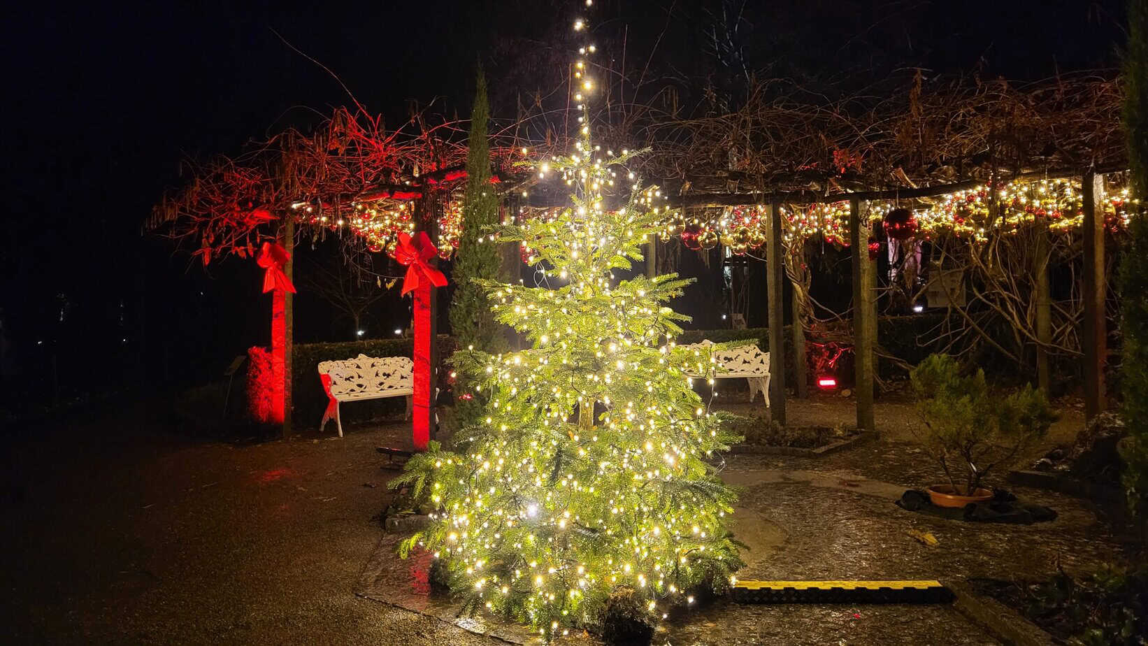 Winterzauber auf der Insel Mainau: Mein Besuch im Christmas Garden Winterzauber auf der Insel Mainau: Mein Besuch im Christmas Garden
