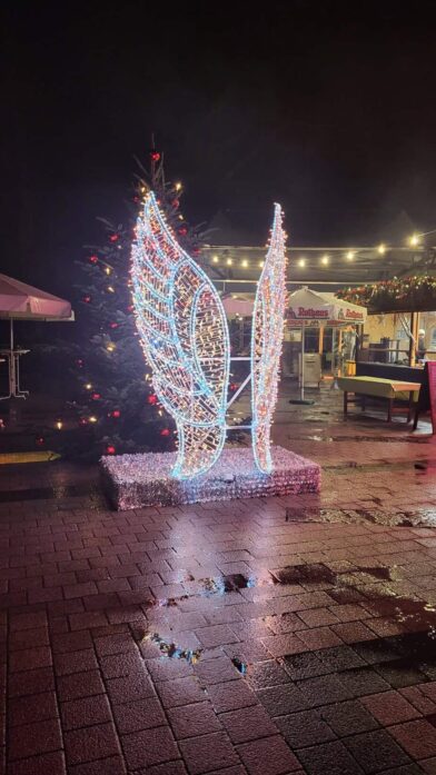 20251207_195255 Winterzauber auf der Insel Mainau: Mein Besuch im Christmas Garden