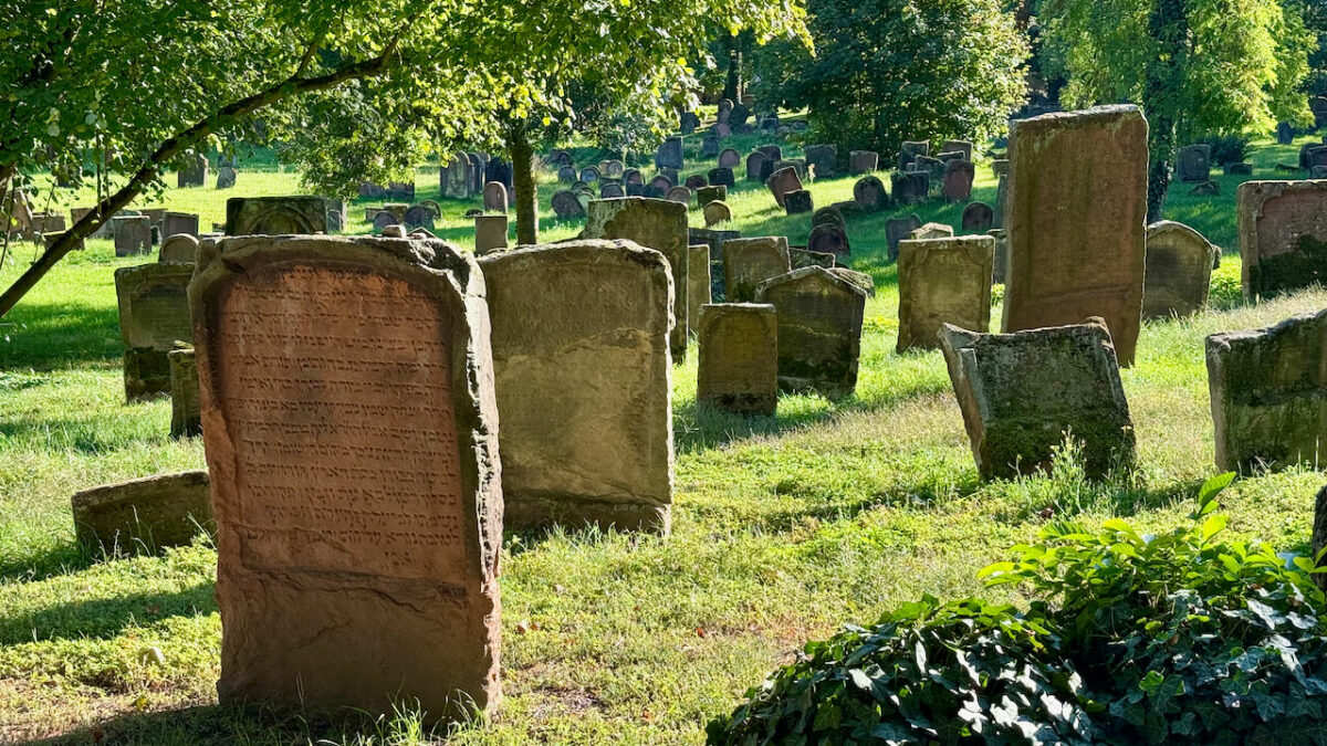 Flusskreuzfahrt auf dem Rhein - (m)ein Versuch