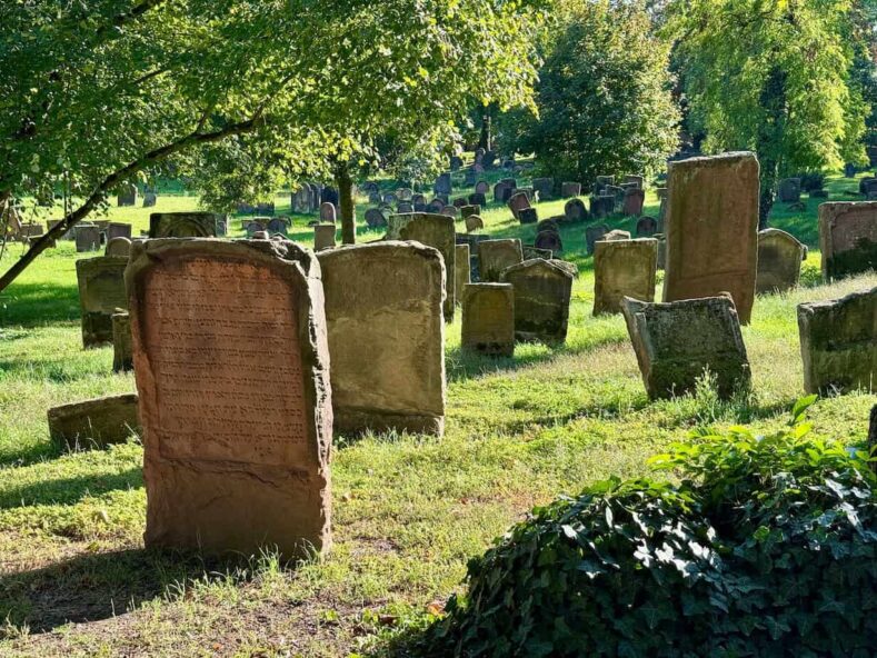 Alte jüdische Grabsteine Worms Heiliger Sand Flusskreuzfahrt auf dem Rhein - (m)ein Versuch