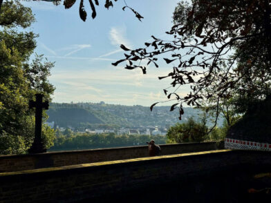 Ausblicke vom Weg zum Schloss Stolzenfels Flusskreuzfahrt auf dem Rhein - (m)ein Versuch