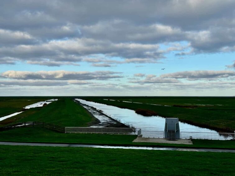 De Heining richtung Meer Winter in Friesland: An der niederländischen Wattenküste