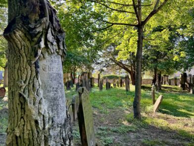 Grabstein Heiliger Sand Flusskreuzfahrt auf dem Rhein - (m)ein Versuch