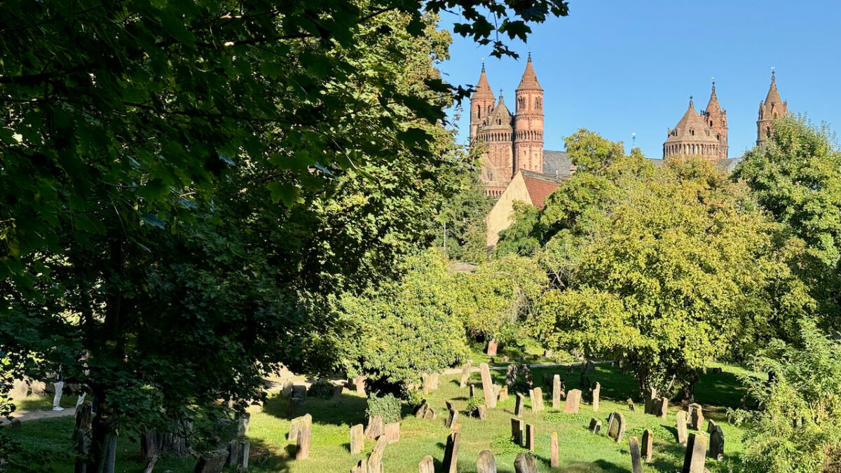 Flusskreuzfahrt auf dem Rhein - (m)ein Versuch
