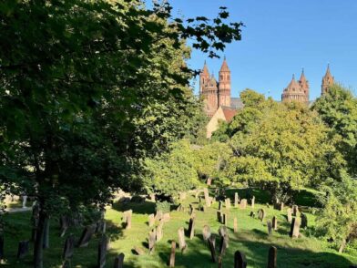 Heiliger Sand ältester jüdischer Friedhof Worms Flusskreuzfahrt auf dem Rhein - (m)ein Versuch