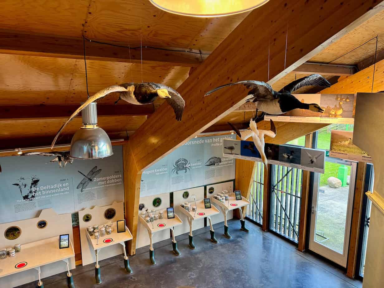 Winter in Friesland: An der niederländischen Wattenküste Winter in Friesland: An der niederländischen Wattenküste