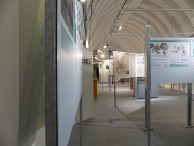 Ein Wochenende auf Rügen: Slow Travel Empfehlungen für die Insel