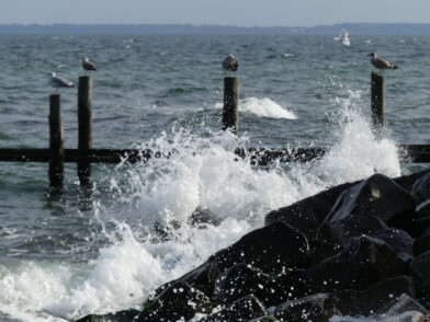 Ein Wochenende auf Rügen: Slow Travel Empfehlungen für die Insel