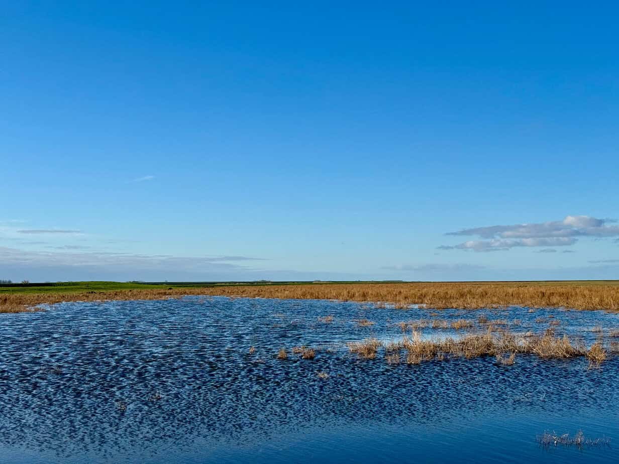 Winter in Friesland: An der niederländischen Wattenküste Winter in Friesland: An der niederländischen Wattenküste