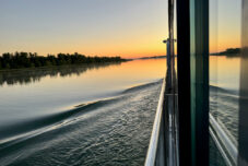 Flusskreuzfahrt auf dem Rhein - (m)ein Versuch