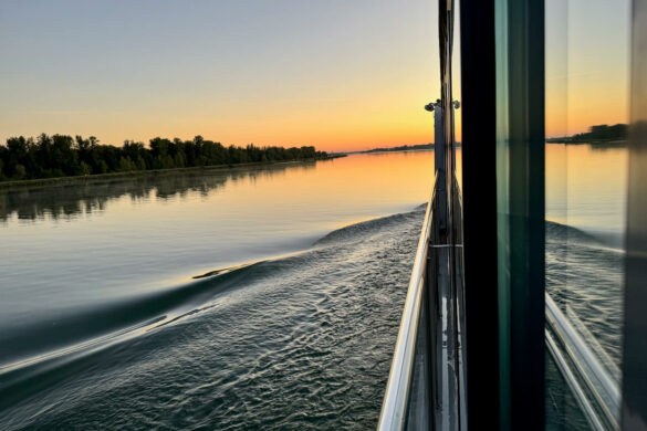 Flusskreuzfahrt auf dem Rhein - (m)ein Versuch