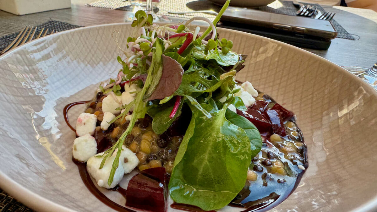 Flusskreuzfahrt auf dem Rhein - (m)ein Versuch