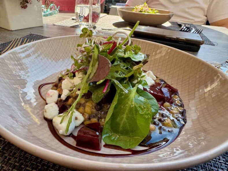 Vorspeise Gerhards Genussgesellschaft Koblenz Flusskreuzfahrt auf dem Rhein - (m)ein Versuch