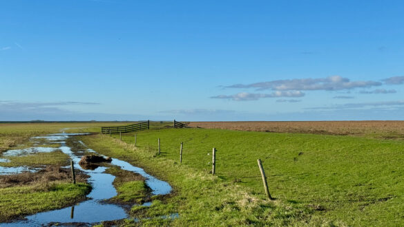 Winter in Friesland: An der niederländischen Wattenküste