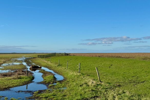 Winter in Friesland: An der niederländischen Wattenküste