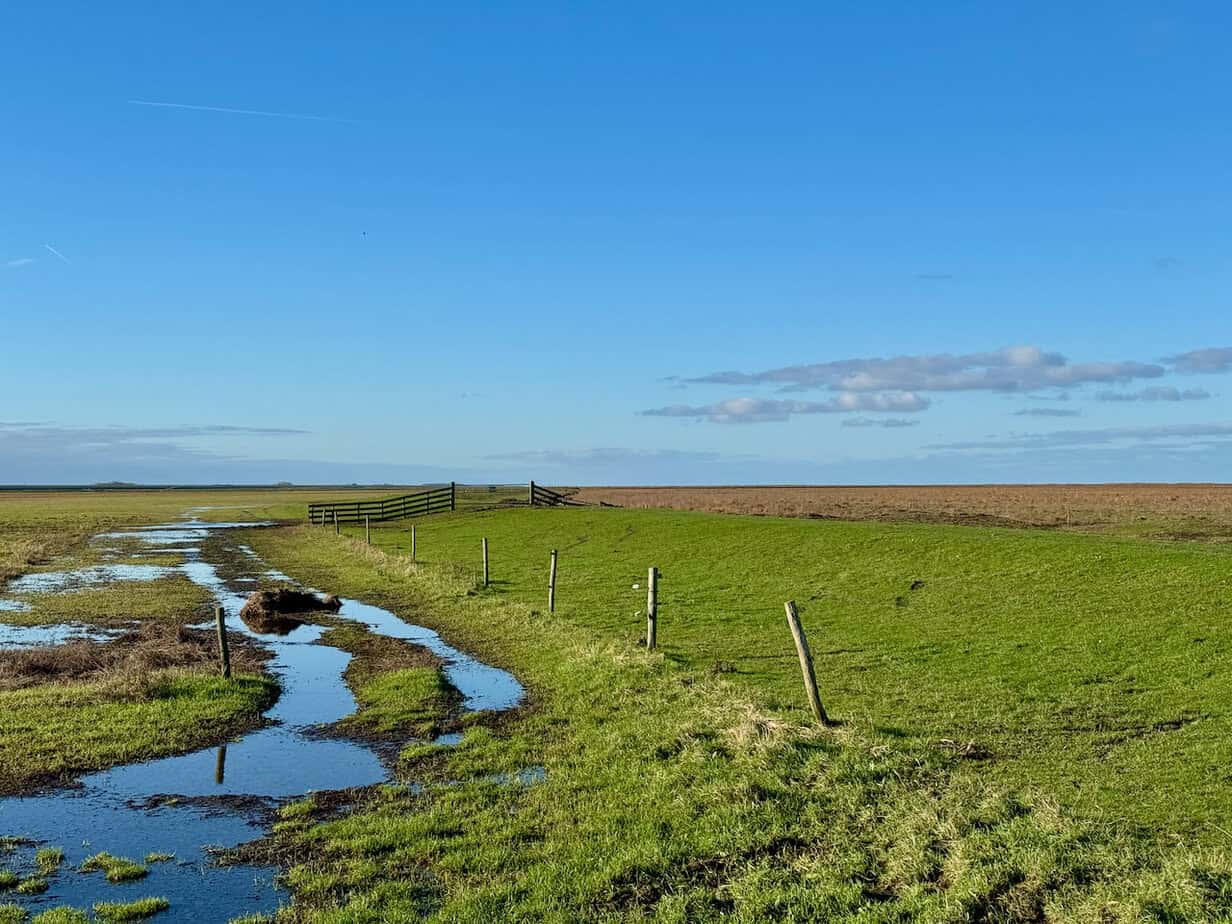 Winter in Friesland: An der niederländischen Wattenküste Winter in Friesland: An der niederländischen Wattenküste