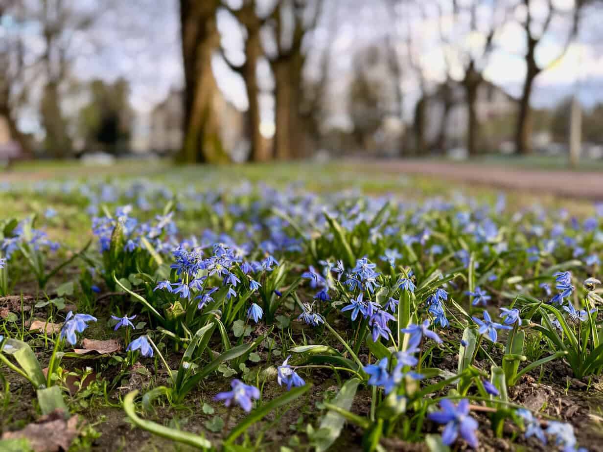 Maastricht im Frühling - zwei Tage in der Grenzstadt Maastricht im Frühling - zwei Tage in der Grenzstadt