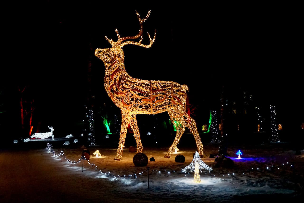 Ein etwas anderes Winter-Wochenende in Innsbruck Ein etwas anderes Winter-Wochenende in Innsbruck