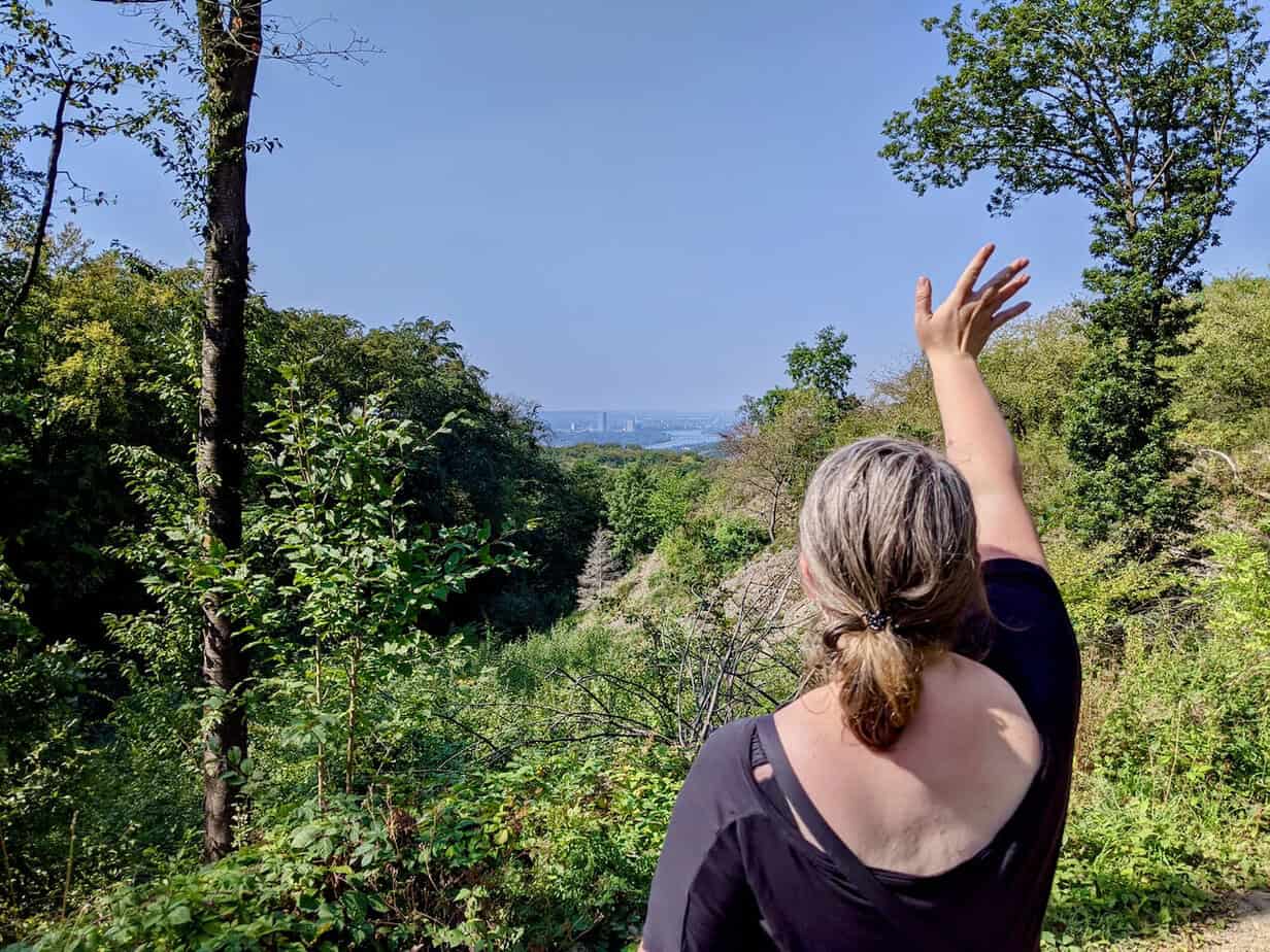 Königswinter im Winter erleben