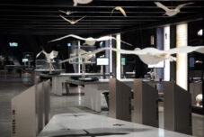 Lohnt sich der Miniurlaub vom Discounter (Aldi, Netto & Co.)?