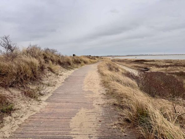 Holzweg Borkum am Meer Winter auf Borkum - eine Auszeit im Küstennebel